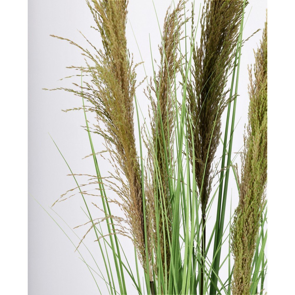 Set 4 Piante Pampas Plastica Verde da Interno H145 cm - SILHOUETTIA