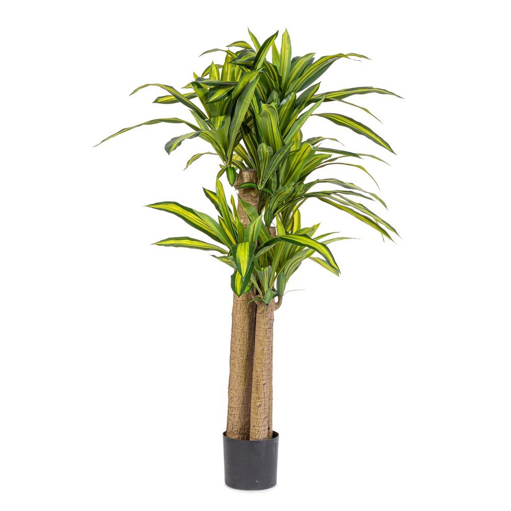 Set 2 Piante Dracaena Plastica Verde da Interno H150 - SERAPHIM