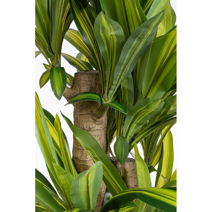 Set 2 Piante Dracaena Plastica Verde da Interno H150 - SERAPHIM