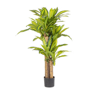 Set 2 Piante Dracaena Plastica Verde da Interno H130 cm - SERAPHIM