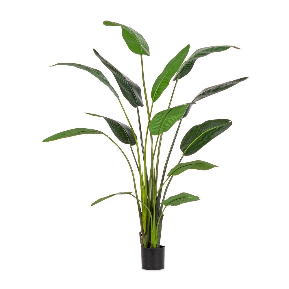 Set 2 Piante Strelitzia in Plastica Verde da Interno H235 cm - RIFLETTORE