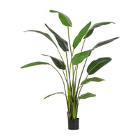 Set 2 Piante Strelitzia in Plastica Verde da Interno H235 cm - RIFLETTORE