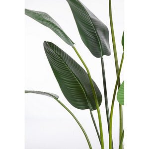 Set 2 Piante Strelitzia in Plastica Verde da Interno H235 cm - RIFLETTORE