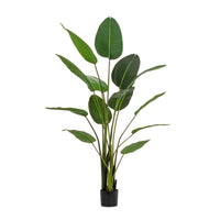 Set 2 Piante Strelitzia in Plastica Verde da Interno H185 cm - RIFLETTORE