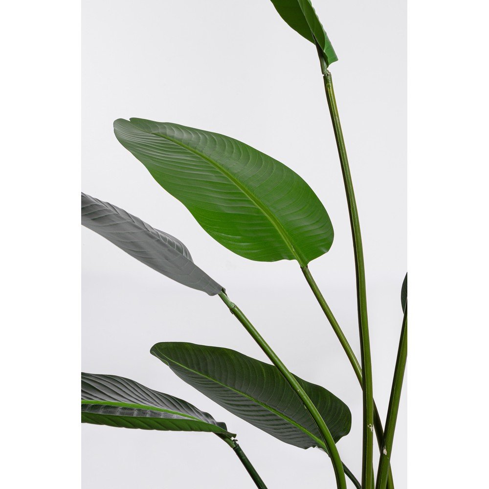 Set 2 Piante Strelitzia in Plastica Verde da Interno H185 cm - RIFLETTORE