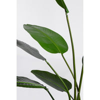 Set 2 Piante Strelitzia in Plastica Verde da Interno H185 cm - RIFLETTORE