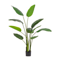 Set 2 Piante Strelitzia Plastica Verde da Interno H150 cm - RIFLETTORE