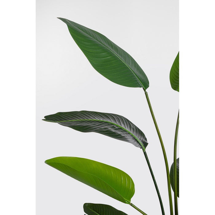 Set 2 Piante Strelitzia Plastica Verde da Interno H150 cm - RIFLETTORE