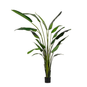 Pianta Strelitzia Plastica Verde Moderna da Interno H310 cm - RIFLETTORE