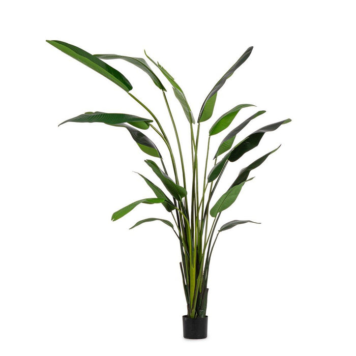 Pianta Strelitzia Plastica Verde Moderna da Interno H310 cm - RIFLETTORE