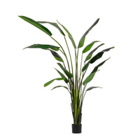 Pianta Strelitzia Plastica Verde Moderna da Interno H310 cm - RIFLETTORE