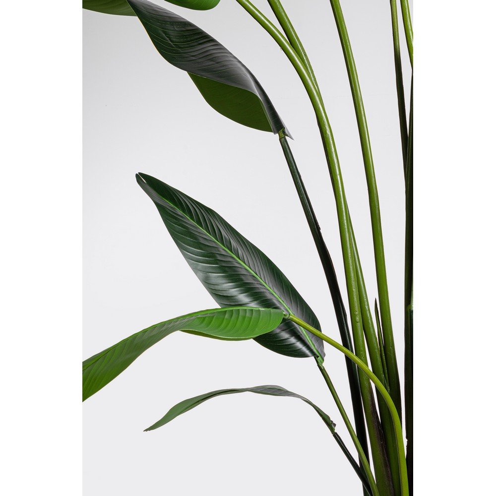 Pianta Strelitzia Plastica Verde Moderna da Interno H310 cm - RIFLETTORE