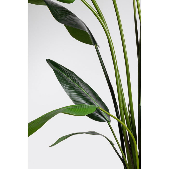 Pianta Strelitzia Plastica Verde Moderna da Interno H310 cm - RIFLETTORE