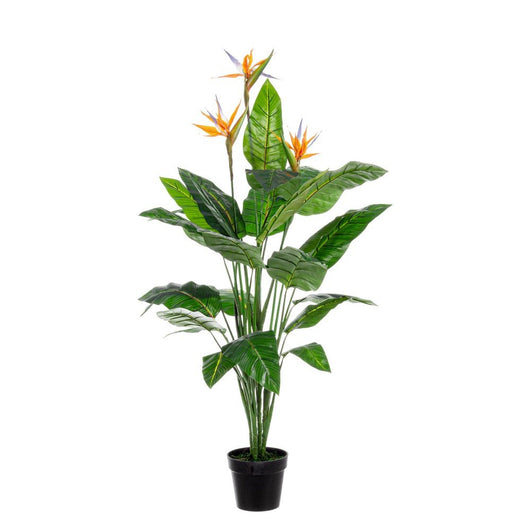 Set 2 Piante Strelitzia in Plastica Verde H150 cm - RIFLETTORE