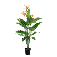Set 2 Piante Strelitzia in Plastica Verde H150 cm - RIFLETTORE