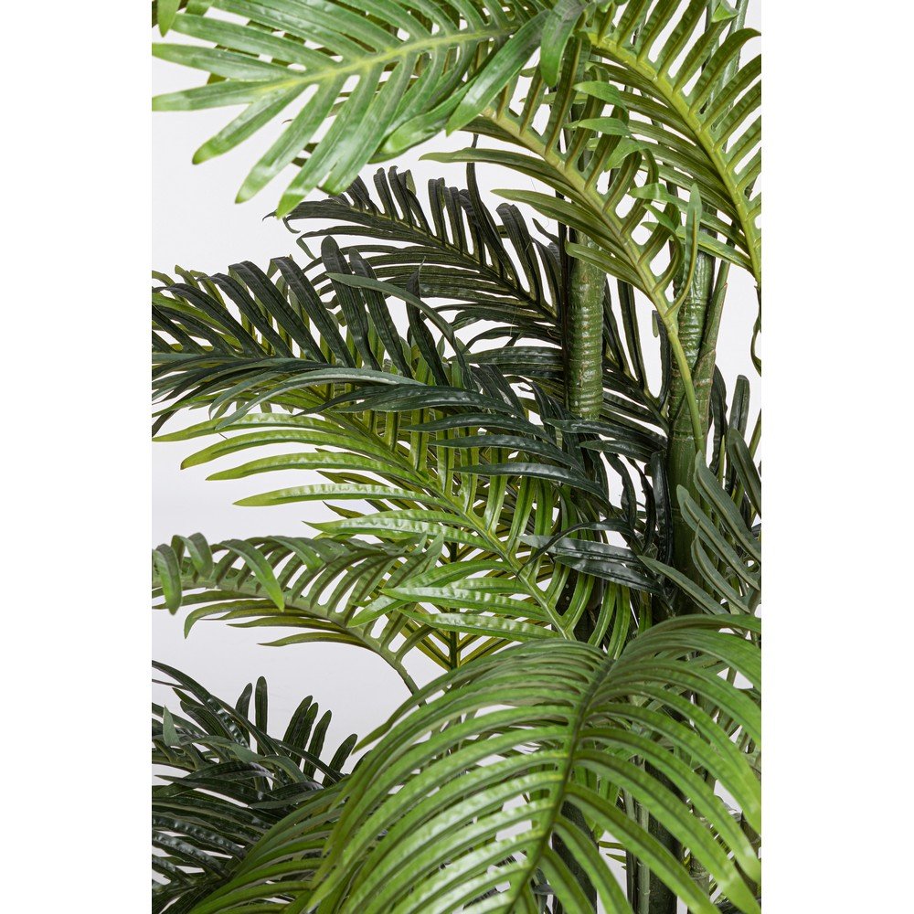 Pianta con Vaso Plastica Verde da Interno H210 cm - REGALO