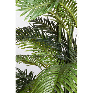 Pianta con Vaso Plastica Verde da Interno H210 cm - REGALO