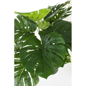 Set 2 Piante con Vaso Plastica Verde H65 cm da Interno - NEBULAR