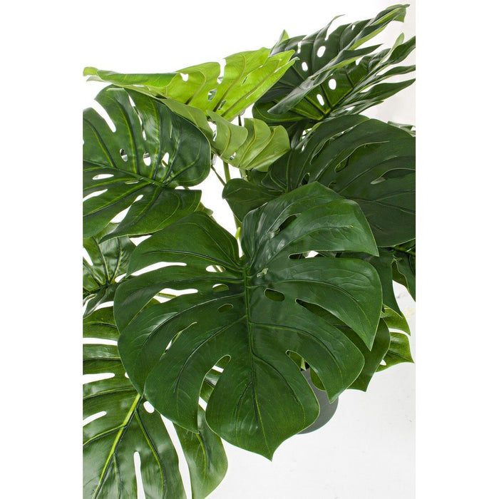 Set 2 Piante con Vaso Plastica Verde H65 cm da Interno - NEBULAR