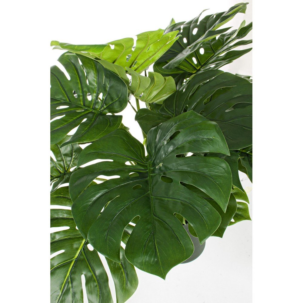 Set 2 Piante con Vaso Plastica Verde H65 cm da Interno - NEBULAR