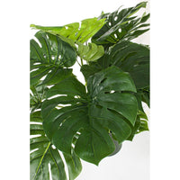 Set 2 Piante con Vaso Plastica Verde H65 cm da Interno - NEBULAR