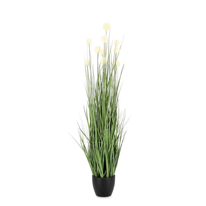 Set 6 Piante Eriophorum Plastica Verde da Interno H110 cm - IMPERIALE