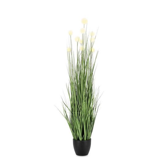 Set 6 Piante Eriophorum Plastica Verde da Interno H110 cm - IMPERIALE