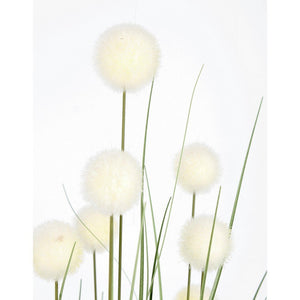 Set 6 Piante Eriophorum Plastica Verde da Interno H110 cm - IMPERIALE