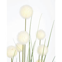 Set 6 Piante Eriophorum Plastica Verde da Interno H110 cm - IMPERIALE