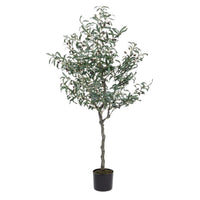 Pianta con Vaso in Plastica Verde da Interno H150 cm - ESSENZIALE