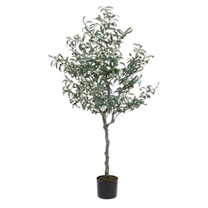 Pianta con Vaso in Plastica Verde da Interno H150 cm - ESSENZIALE