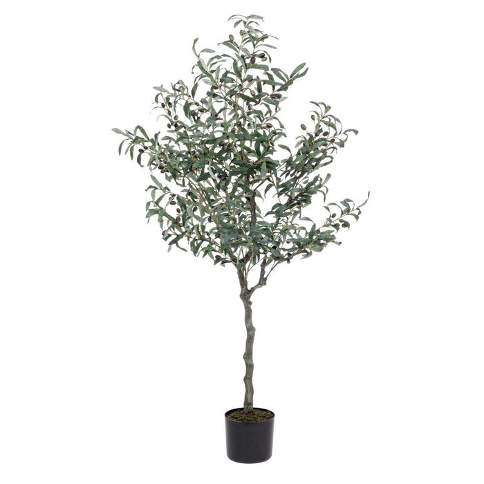 Pianta con Vaso in Plastica Verde da Interno H150 cm - ESSENZIALE