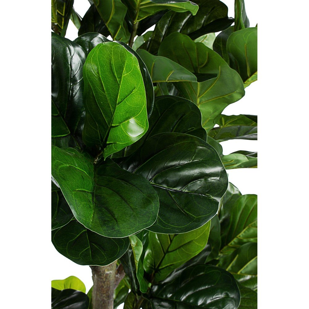 Pianta con Vaso in Plastica Verde da Interno H190 cm - EMBRACIA