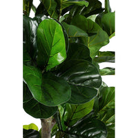 Pianta con Vaso in Plastica Verde da Interno H190 cm - EMBRACIA