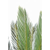 Pianta Cycas Plastica Verde Moderna da Interno H120 cm - EDEN