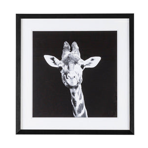 Set 2 Quadri in Mdf Multicolore Moderni da Parete - ANDREI