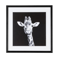 Set 2 Quadri in Mdf Multicolore Moderni da Parete - ANDREI