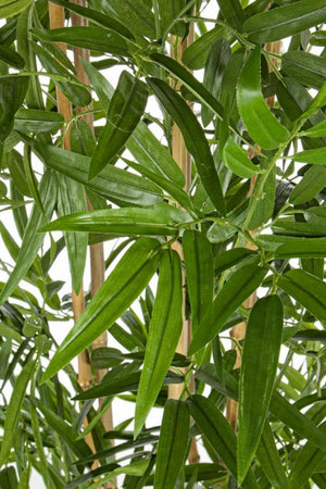 Sedia regista in bamboo pieghevole - BAMBOO Dimensione: H185, Colore: Verde