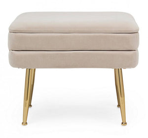 Panca Contenitore Velluto Grigio Moderno da Interno - SERENA Colore: Beige