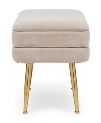 Panca Contenitore Velluto Grigio Moderno da Interno - SERENA Colore: Beige