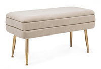 Panca Contenitore Velluto Grigio Moderno da Interno - SERENA Colore: Beige