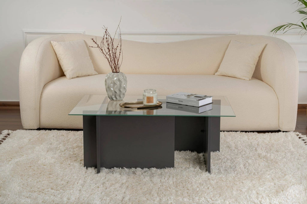 Azriel, Tavolino da Salotto Peso Massimo Supportato 10 kg, 105x65x40h cm Nero Antracite
