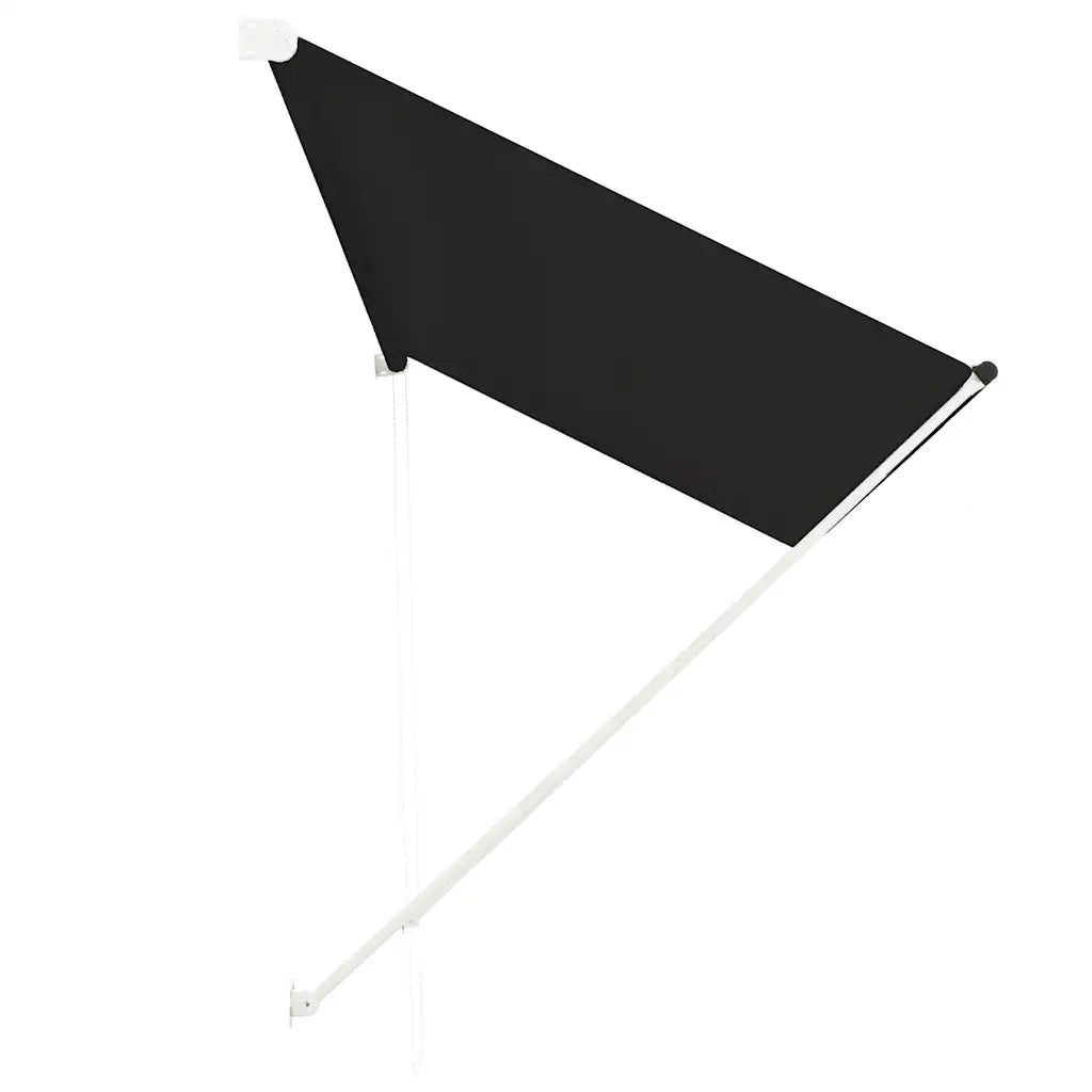 Tenda da Sole | Tenda parasole Retrattile 300x150 cm Antracite