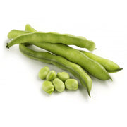 Semi di fave Aguadulce Supersimonia Sel. Samba 1 kg Hortus