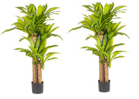 Set 2 Piante Artificiali Dracaena Ø100x130 cm in Plastica con Vasi Verde