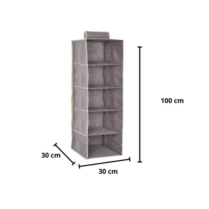 OWIJI Organizer Portaoggetti Appendere Armadio 5 Ripiani 100 x 30 x 30 cm Salvaspazio Divisori Interno Pieghevole Contenitore Vestiti Scarpe