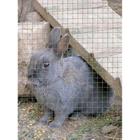 Rete Metallica Plastificata in Rotolo 1-5m Maglia quadra Voliere Gabbie Conigli