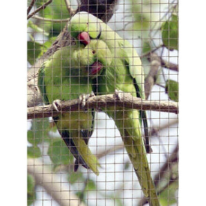 Rete Metallica Zincata in Rotolo 1-5 m Maglia quadra Voliere Giardino Recinzione