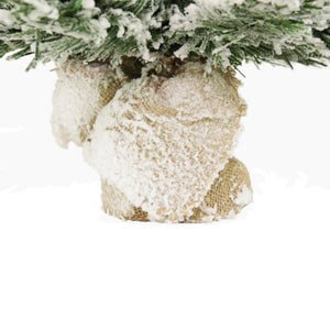 Albero di Natale Argo Innevato 60 cm