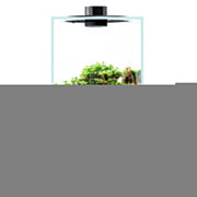 Bioloark Bio Bottle FD200 cm22x22x41h - terrario rettangolare in vetro con sistema di aerazione e illuminazione LED
